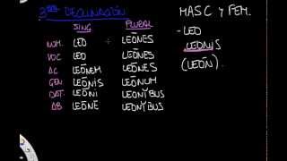 Tercera declinación parte I [upl. by Llovera]