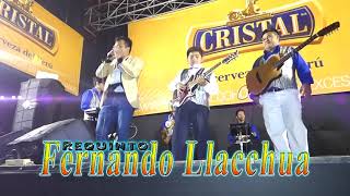 FERNANDO PRIMER NIÑO PERUANO TOCANDO SU REQUINTO 2017 [upl. by Jsandye275]