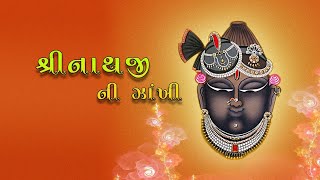 Shrinathji Ni Zakhi  Shrinathji Na Bhajan  Non Stop Bhajan [upl. by Zorana391]