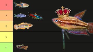 Nano Fish Tier List [upl. by Kristoforo595]