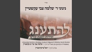 Meyein Olam Haba feat Shloime Hersh Ekstein [upl. by Anglo]