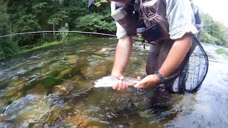 Salmon 2000  Fly fishing Spain Pyrenees guide service [upl. by Akemhs]