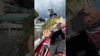 Fishing fishing minnesota fishinglife fisherman fishingtiktoks fishcontent fish mn [upl. by Matias32]