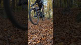 Rumia MTB  Hamak 100 autumn mtbtrails mtb autumncolors [upl. by Anemolif]