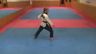 Taekwondo Poomsae Kibon 1 TKD Form [upl. by Riker]