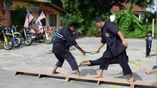 DEMO SILAT CHEKAK SILAT PAPAN SEKEPING PSCSPSM  PUCHONGOKT 2012 [upl. by Elaynad403]