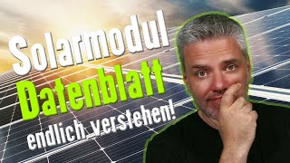 Solarmodul Datenblatt genau erklärt  Alles was man wissen muss [upl. by Nnylyma871]