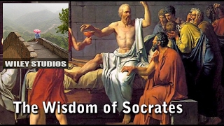 The Wisdom of Socrates  Famous Quotes and Philosophy [upl. by Macswan379]