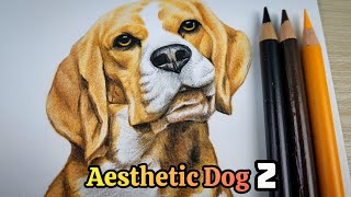 Realistic drawing aesthetic Dog 2 [upl. by Monjan]