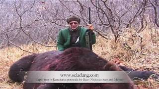 OURS BROWN BEAR HUNTING Chasse KAMCHATKA RUSSIA by Seladang [upl. by Yrolam325]