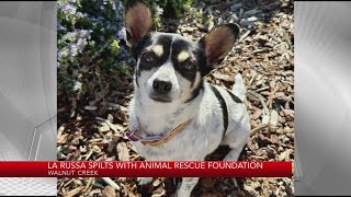 Tony La Russa terminates relationship with animal rescue group after adoption mishap [upl. by Aiym615]