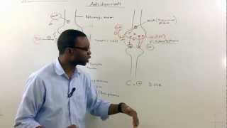 Tricyclic antidepressants TCA Pharmacology [upl. by Scotty]