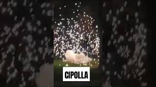 Cipolla  Italiaanse uitje feuerwerk pyroaddicts [upl. by Avram]