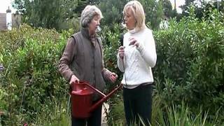 Haws watering can [upl. by Dopp952]