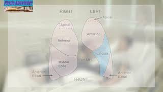 Postural Drainage Chest Physiotherapy [upl. by Eusoj763]