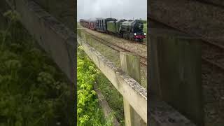 Flying Scotsman passes botolphs bridge  rhdr may gala 2023 [upl. by Adaynek]