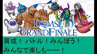 【DQMSL】サービス終了まで育成もバトルもみんぼうも全部楽しもー！！ [upl. by Lilllie]