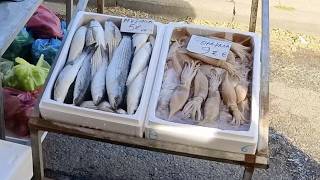 Walking through a Saturday market in Katerini  Greece 🇬🇷 4K [upl. by Anerec]