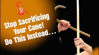 Cane Self Defense Stop Sacrificing Your Cane Do This Instead [upl. by Rickert162]