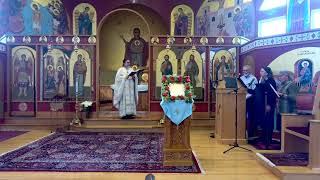 Entry of the Theotokos into the Temple [upl. by Suravaj]