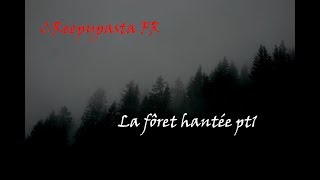 CREEPYPASTA FR la forêt hantée de Boston partie 1 [upl. by Eirrot]