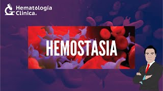 HEMOSTASIA [upl. by Treblihp921]