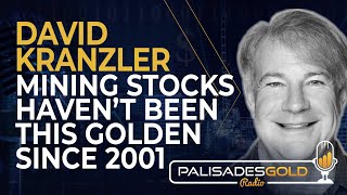 David Kranzler Mining Stocks Havent Been This Golden Since 2001 [upl. by Neirrad23]