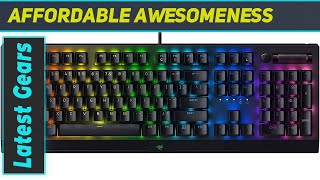 Razer BlackWidow V3 Tenkeyless  Ultimate Mechanical Gaming Keyboard Experience [upl. by Yecnuahc]