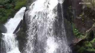 Triberger Wasserfälle  Triberg Waterfalls [upl. by Dickey556]