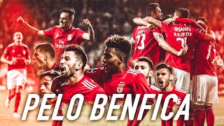 PELO BENFICA  Guilherme Cabral Dedicado ao meu amigo João Lobo [upl. by Niknar]