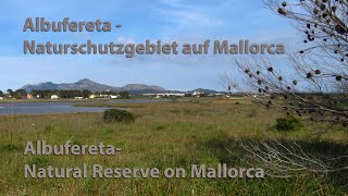 Mallorca Albufereta Naturschutzgebiet  Majorca Albufereta Nature Reserve [upl. by Kaleena]