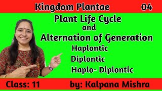 KINGDOM PLANTAE 04 PLANT LIFE CYCLE amp ALTERNATION OF GENERATION CLASS 11 [upl. by Neitsirhc361]