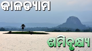 Camping at Kala Dam Mayurbhanj near Samibrukhya [upl. by Ahsyas]