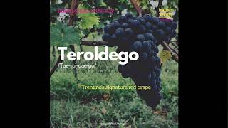 Teroldego [upl. by Allina]