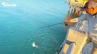 Catch the BIGGEST fish at the Pier 3 SIMPLE METHODS for Pier Fishing [upl. by Dredi]