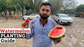 Watermelon Planting  The Complete Guide [upl. by Ummersen]