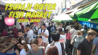 Tsukiji Outer Fish Market in Tokyo Japan Walking Tour [upl. by Aneehsal]