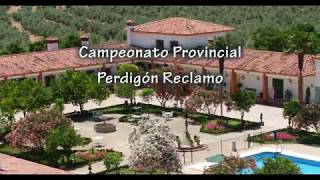 Campeonato Provincial Perdigón Reclamo Cabra 2018 [upl. by Ytteb]