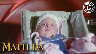 Matilda  Welcome To The Wormwoods  CineClips [upl. by Idihsar]