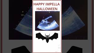 HAPPY IMPELLA HALLOWEEN A BAT BY THE INLET impella [upl. by Aggy]