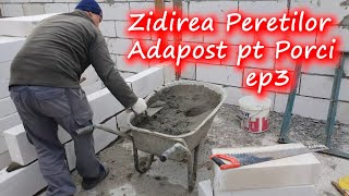 Zidirea Peretilor pt Adapost de Porci ep3 [upl. by Holden307]