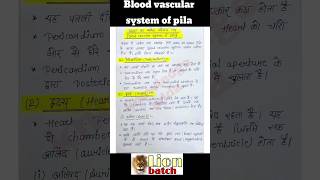 blood vascular system of pila bsc 1st year zoology knowledge adda lion batch 9131769071 zoology [upl. by Attiuqaj452]