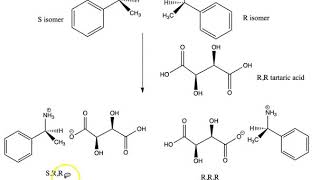 Resolution of a Racemic Mixture [upl. by Xineohp]