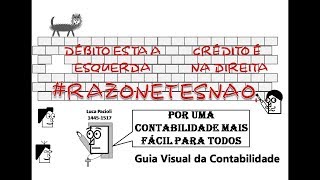 Guia Visual da Contabilidade  Completo [upl. by Yenoh107]