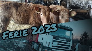 🔥Ferie 2023 🐮Dolnośląskie 🔥 [upl. by Kaitlynn]