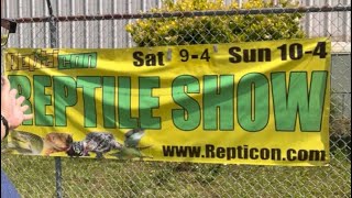 Repticon FT Walton May 2024 REPTILES [upl. by Waring]