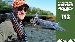 Fieldsports Britain – Red dot rabbits [upl. by Nyleda231]