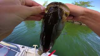 BASS FISHING at BLACK LAKE NY [upl. by Nele]