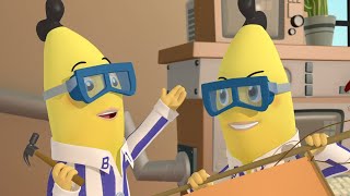 The Inventing Bananas  Bananas in Pyjamas Season 2  Full Episodes  Bananas In Pyjamas [upl. by Novyar]