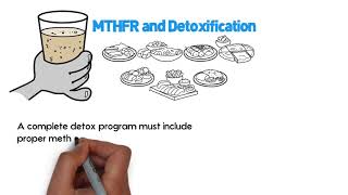 What is MTHFR MTHFR Mutation Explained  MethyleneTetraHydroFolate Reductase [upl. by Traweek72]